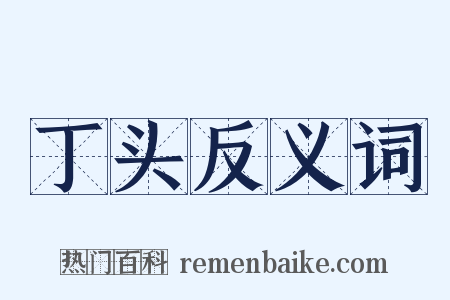 丁头反义词是什么意思的图片